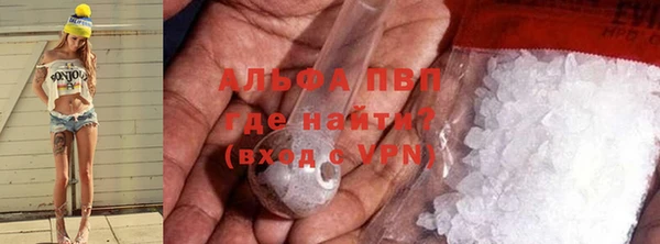 СК Гусев