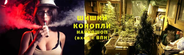 СК Гусев