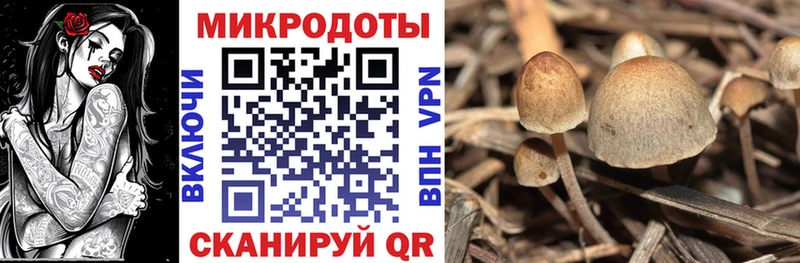 Галлюциногенные грибы GOLDEN TEACHER  Купить где  Михайловск 